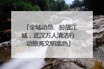 全城动员、扮靓江城，武汉万人清洁行动擦亮文明底色