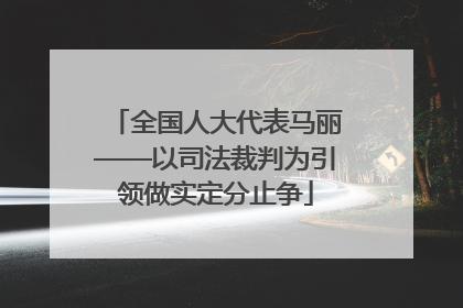 全国人大代表马丽——以司法裁判为引领做实定分止争