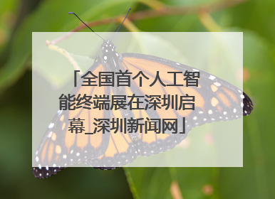 全国首个人工智能终端展在深圳启幕_深圳新闻网