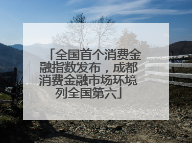 全国首个消费金融指数发布，成都消费金融市场环境列全国第六