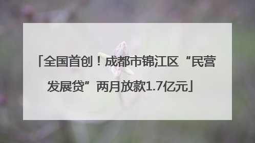 全国首创！成都市锦江区“民营发展贷”两月放款1.7亿元