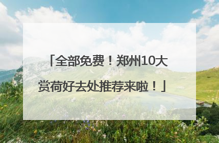全部免费！郑州10大赏荷好去处推荐来啦！