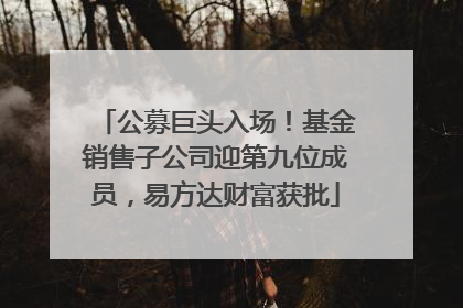 公募巨头入场！基金销售子公司迎第九位成员，易方达财富获批
