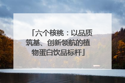 六个核桃：以品质筑基、创新领航的植物蛋白饮品标杆
