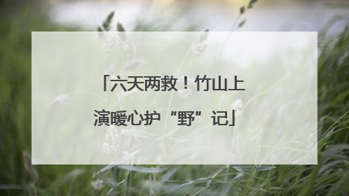 六天两救！竹山上演暖心护“野”记