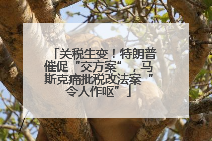 关税生变！特朗普催促“交方案”，马斯克痛批税改法案“令人作呕”