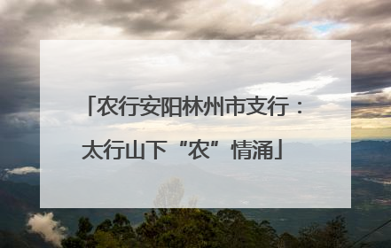 农行安阳林州市支行：太行山下“农”情涌