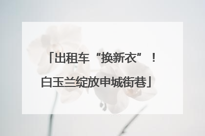 出租车“换新衣”！白玉兰绽放申城街巷
