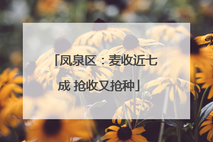 凤泉区：麦收近七成 抢收又抢种