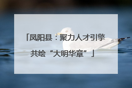 凤阳县：聚力人才引擎 共绘“大明华章”