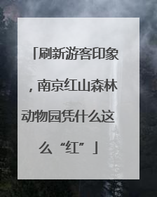 刷新游客印象，南京红山森林动物园凭什么这么“红”