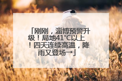 刚刚，淄博预警升级！局地41℃以上！四天连续高温，降雨又登场→