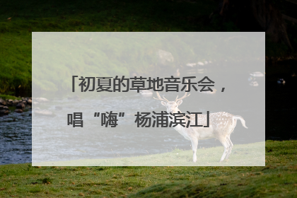 初夏的草地音乐会，唱“嗨”杨浦滨江