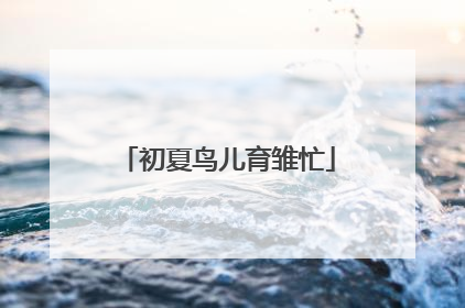 初夏鸟儿育雏忙