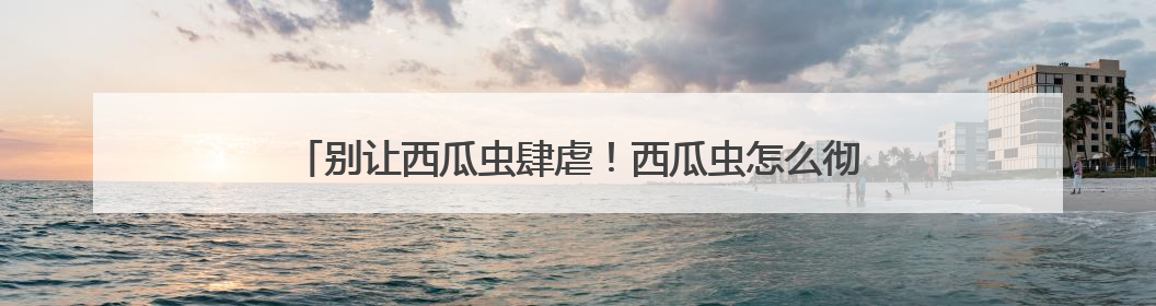 别让西瓜虫肆虐！西瓜虫怎么彻底消灭，潮虫用什么药最有效？