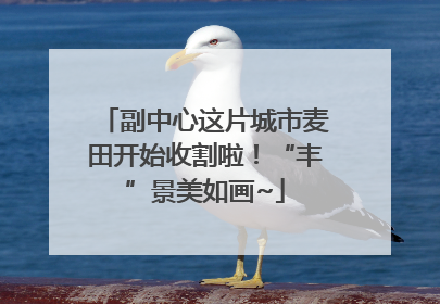 副中心这片城市麦田开始收割啦！“丰”景美如画~