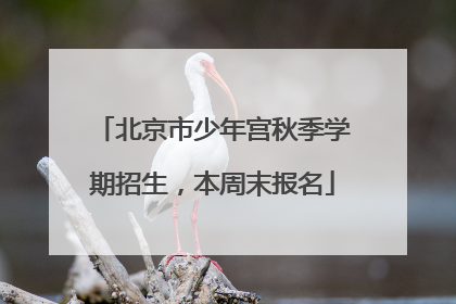 北京市少年宫秋季学期招生，本周末报名