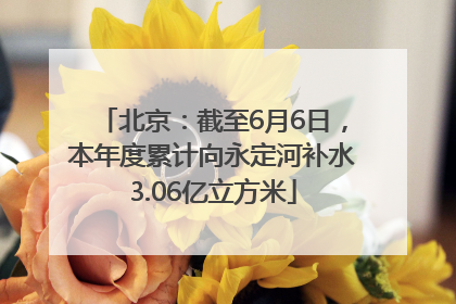 北京：截至6月6日，本年度累计向永定河补水3.06亿立方米