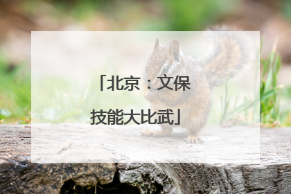 北京：文保技能大比武