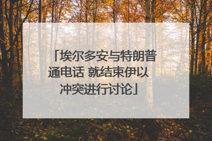 埃尔多安与特朗普通电话 就结束伊以冲突进行讨论