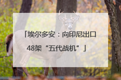 埃尔多安：向印尼出口48架“五代战机”