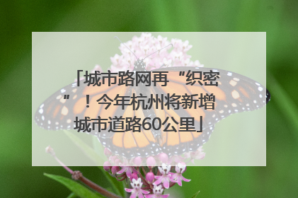 城市路网再“织密”！今年杭州将新增城市道路60公里