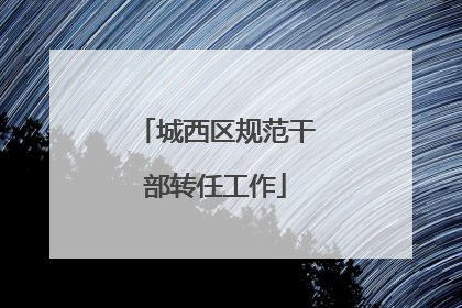 城西区规范干部转任工作