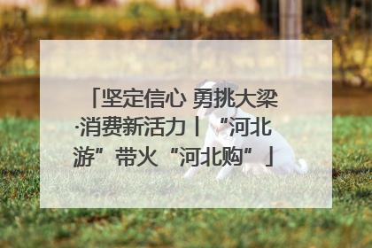 坚定信心 勇挑大梁·消费新活力丨“河北游”带火“河北购”