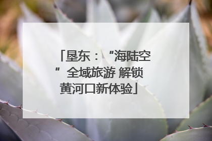 垦东：“海陆空”全域旅游 解锁黄河口新体验