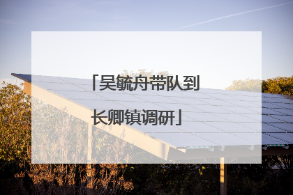 吴毓舟带队到长卿镇调研