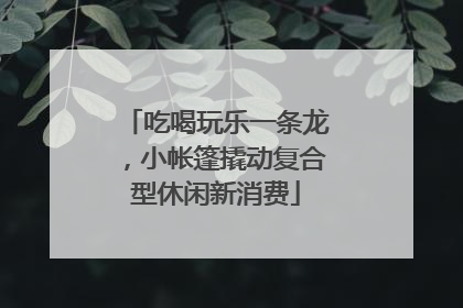 吃喝玩乐一条龙，小帐篷撬动复合型休闲新消费