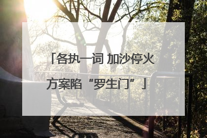 各执一词 加沙停火方案陷“罗生门”