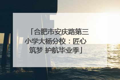 合肥市安庆路第三小学大杨分校：匠心筑梦 护航毕业季