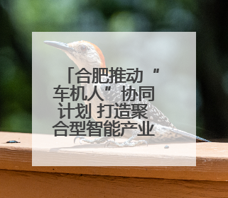 合肥推动“车机人”协同计划 打造聚合型智能产业集群