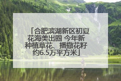 合肥滨湖新区初夏花海美出圈 今年新种植草花、播撒花籽约6.5万平方米