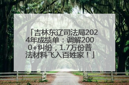 吉林东辽司法局2024年成绩单：调解2000+纠纷，1.7万份普法材料飞入百姓家！
