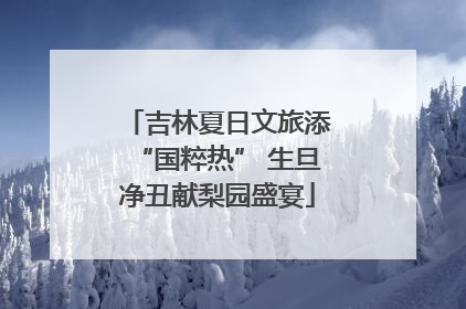 吉林夏日文旅添“国粹热” 生旦净丑献梨园盛宴