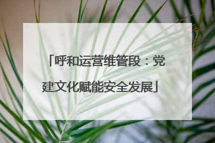 呼和运营维管段：党建文化赋能安全发展