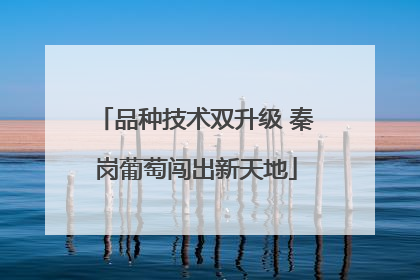 品种技术双升级 秦岗葡萄闯出新天地