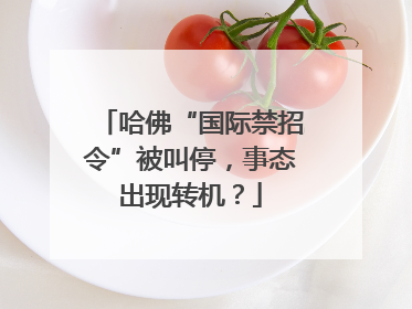 哈佛“国际禁招令”被叫停，事态出现转机？