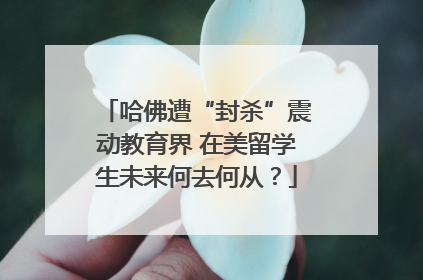 哈佛遭“封杀”震动教育界 在美留学生未来何去何从？