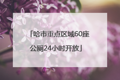 哈市重点区域60座公厕24小时开放