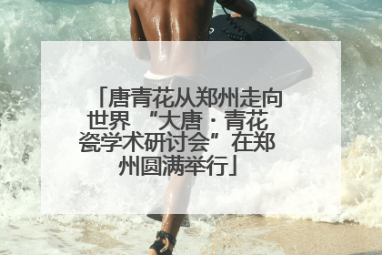 唐青花从郑州走向世界 “大唐・青花瓷学术研讨会”在郑州圆满举行