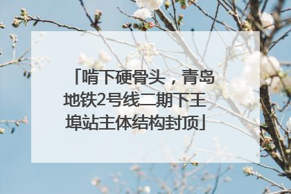 啃下硬骨头，青岛地铁2号线二期下王埠站主体结构封顶