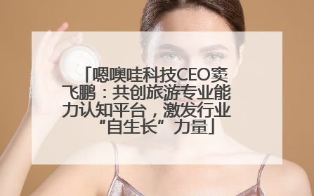 嗯噢哇科技CEO窦飞鹏：共创旅游专业能力认知平台，激发行业“自生长”力量