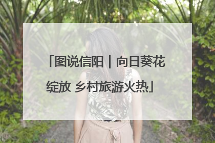 图说信阳｜向日葵花绽放 乡村旅游火热