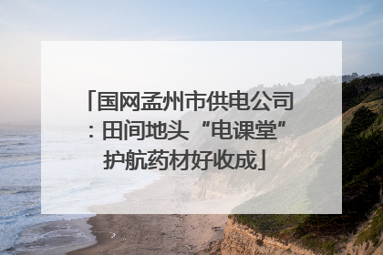 国网孟州市供电公司：田间地头“电课堂”  护航药材好收成