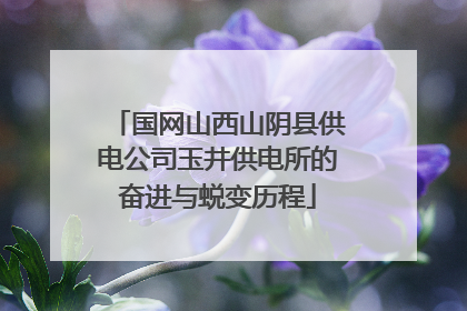 国网山西山阴县供电公司玉井供电所的奋进与蜕变历程