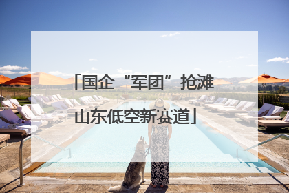 国企“军团”抢滩山东低空新赛道