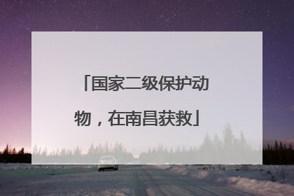 国家二级保护动物，在南昌获救